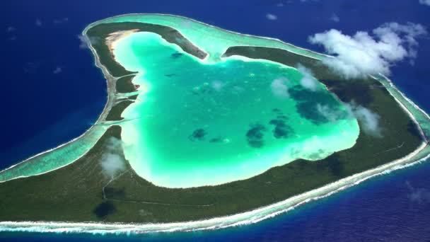 Tupai kalp Adası — Stok video