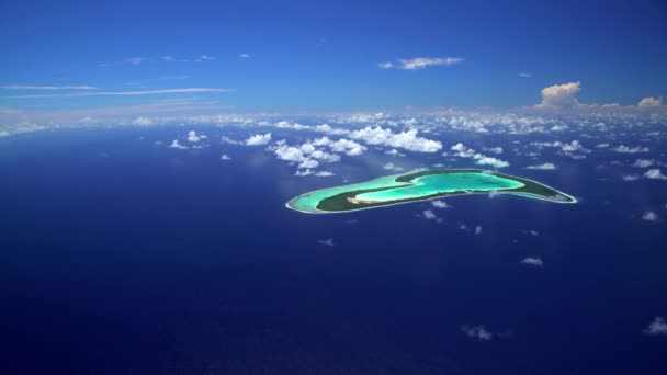 Pulau Jantung Tupai — Stok Video