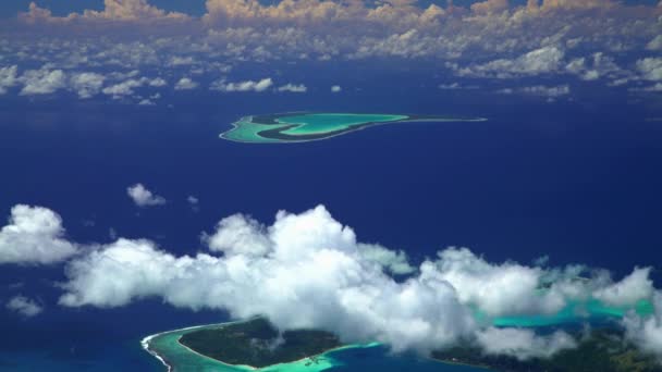Κοραλλιογενής ύφαλος στις Tupai — Αρχείο Βίντεο