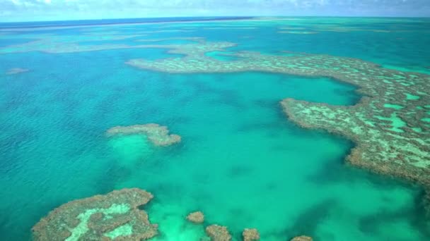 Große Barriere, Australien — Stockvideo