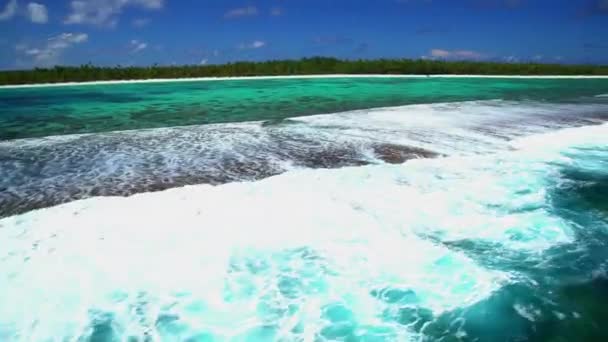 Kokosová plantáž na ostrově srdce Tupai — Stock video