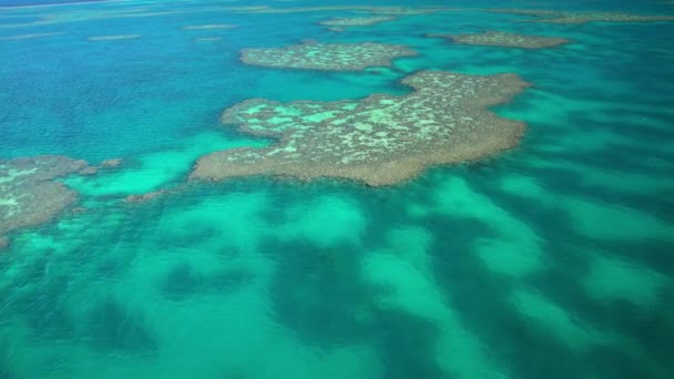 Gran Barrera, Australia — Vídeo de stock