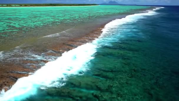 Plantation de noix de coco sur Tupai Heart Island — Video