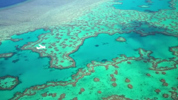 Большой Барьерный риф, Австралия — стоковое видео
