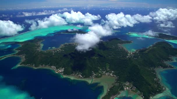 ORA Bora resif lagoon — Stok video