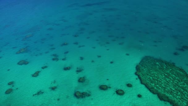 Великий Бар'єрний риф, Об'єднані Арабські Емірати — стокове відео