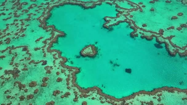 Isla del Corazón, Gran Barrera de Coral — Vídeos de Stock