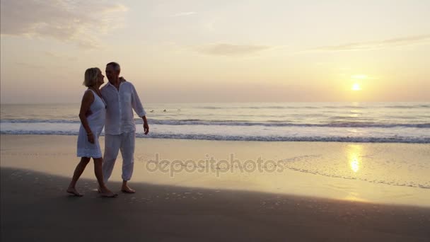 Anziani che camminano sulla spiaggia — Video Stock