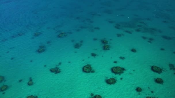 Great barrier reef, Australië — Stockvideo