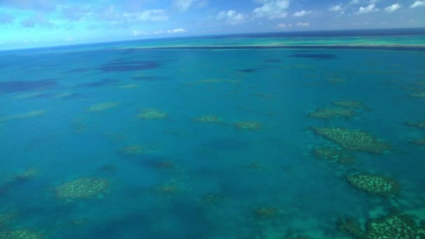 Great barrier reef, Australië — Stockvideo