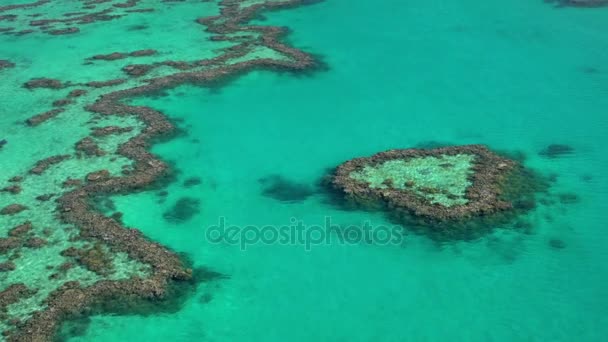 Isla del Corazón, Gran Barrera de Coral — Vídeo de stock