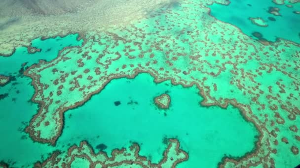Большой Барьерный риф, Австралия — стоковое видео