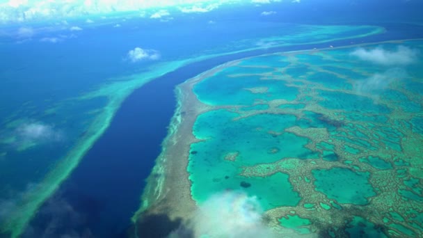 Great Barrier, Australia — Stock Video