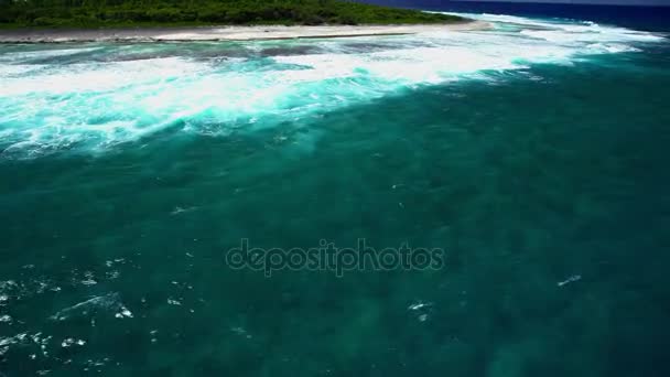 Tupai kalp Adası — Stok video