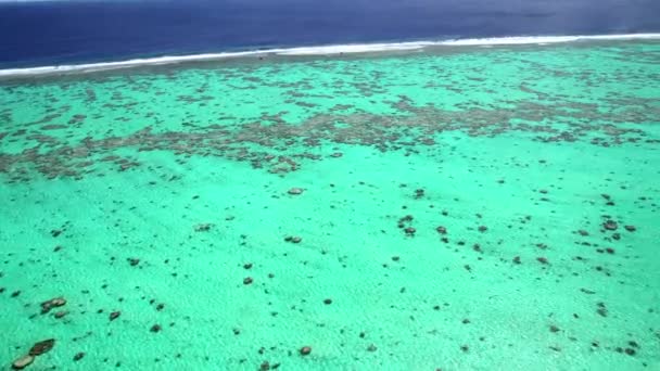 Νησί Tupai καρδιά — Αρχείο Βίντεο