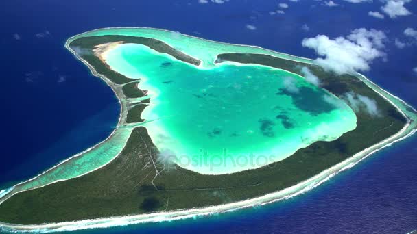 Koraal atol rif, Tupai hart eiland — Stockvideo