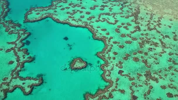 Isla del Corazón, Gran Barrera de Coral — Vídeos de Stock