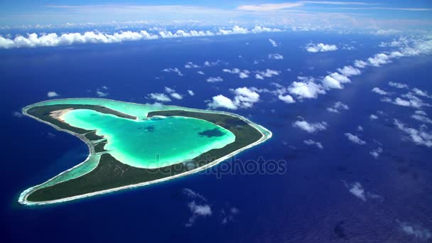 Korálový útes nedaleko Tupai srdce ostrova — Stock video