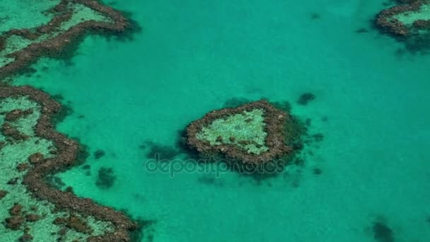 Остров сердца, Большой Барьерный риф — стоковое видео