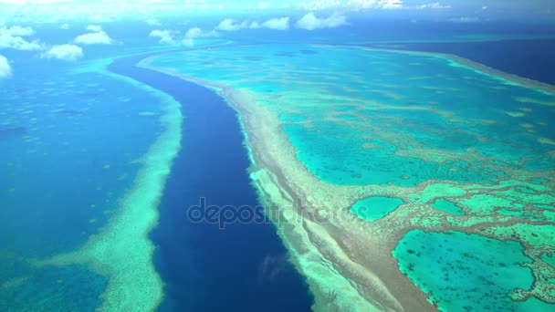 Great Barrier, Australia — Stok Video