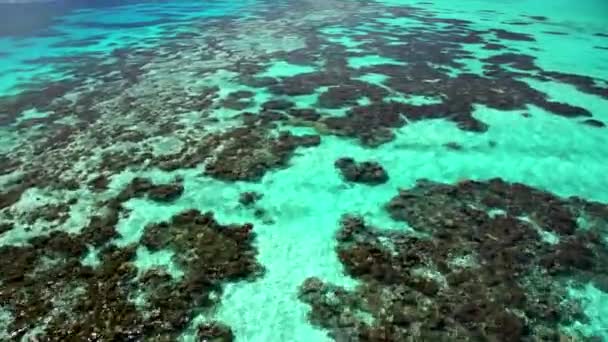 Isla Bora Bora y arrecife de coral — Vídeo de stock