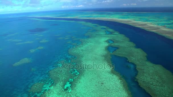 Büyük Set Resifi, Avustralya — Stok video