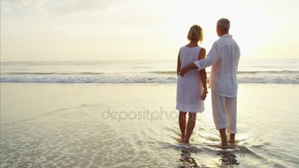 Seniorzy, ciesząc się razem na plaży — Wideo stockowe