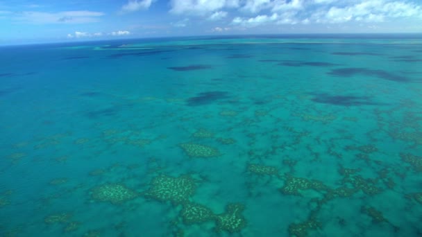 Velký bariérový útes, Austrálie — Stock video
