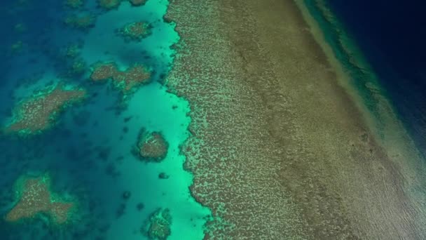 Grote barrière, Australië — Stockvideo