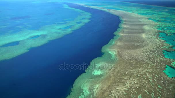 Great barrier reef, Australië — Stockvideo