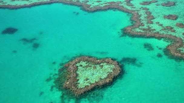 Isla del Corazón, Gran Barrera de Coral — Vídeos de Stock