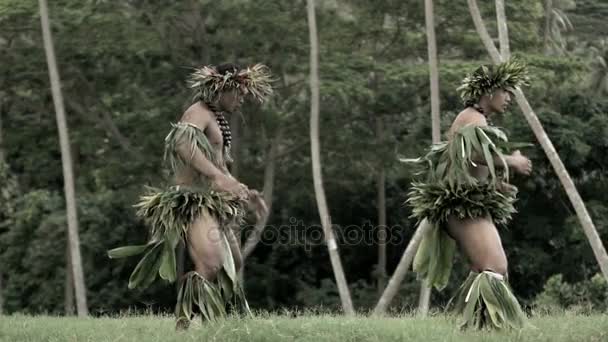 Muži provedením tanec hula — Stock video