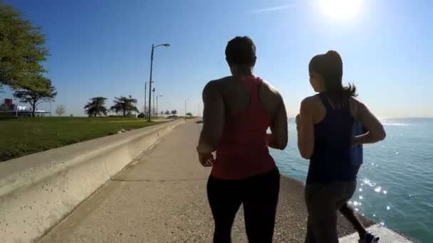 Amis courir dans la ville — Video