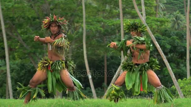 Machos realizando dança hula — Vídeo de Stock