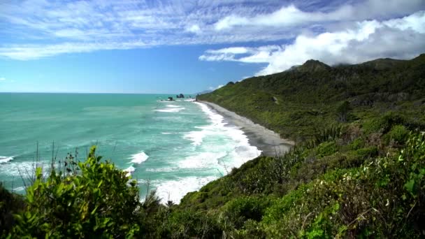 Vegetação na costa do mar de Tasman — Vídeo de Stock