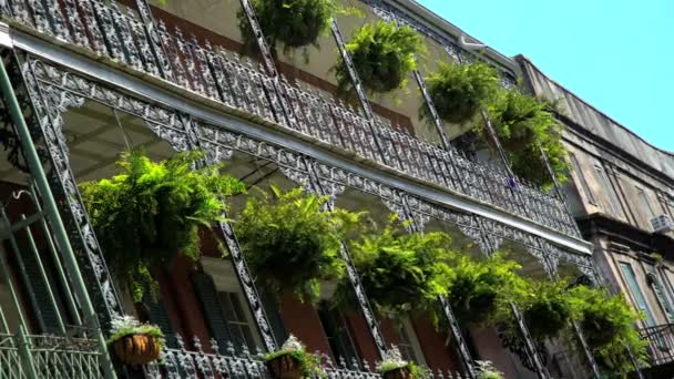 Quartiere Francese, New Orleans — Video Stock