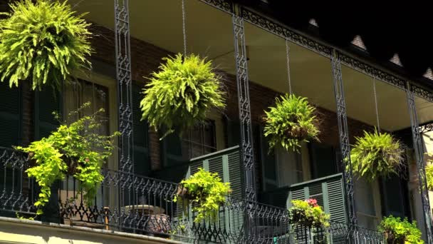 Quartiere Francese, New Orleans — Video Stock