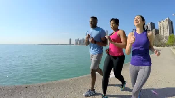 Männchen und Weibchen laufen in Chicago — Stockvideo