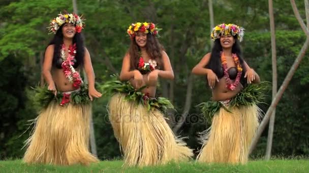 Hembras tahitianas bailando — Vídeo de stock