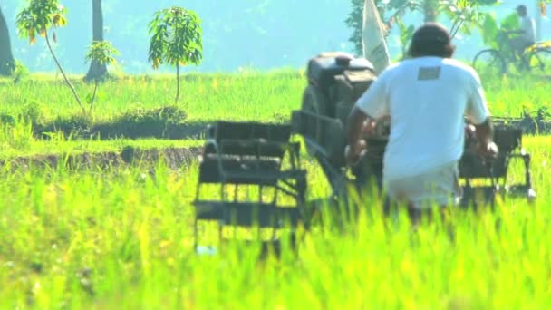 Landwirt pflügt Feld um — Stockvideo