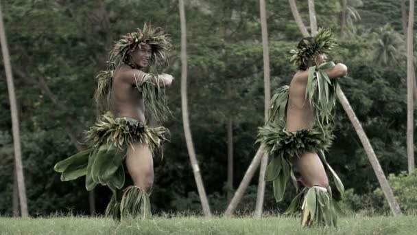 Bailarines de Polinesia entretenidos con disfraces — Vídeo de stock