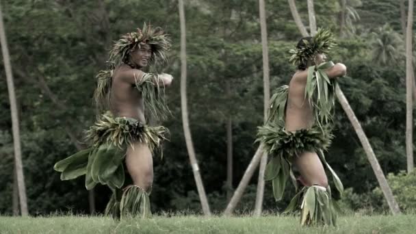 Polynesien-Tänzer unterhalten in Kostümen 