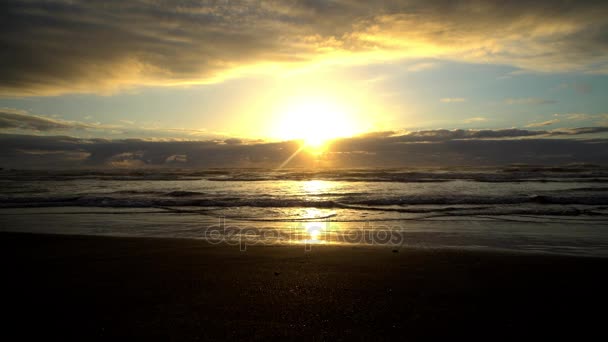 Tasman Sea waves on shoreline — Stock Video