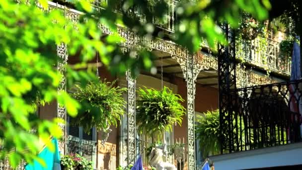 Barrio Francés, Nueva Orleans — Vídeo de stock