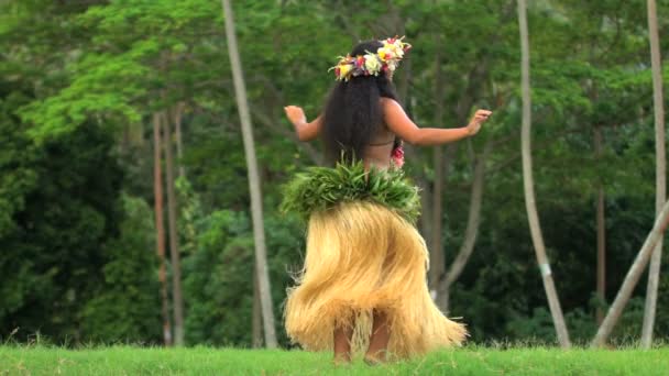 Bailarina polinesia entretenida en traje — Vídeos de Stock