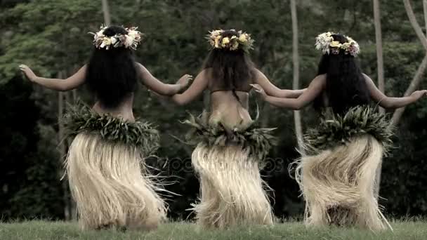 Meninas polinésias dançando hula — Vídeo de Stock