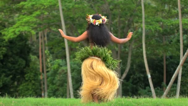 Tahitian feminino realizando dança — Vídeo de Stock