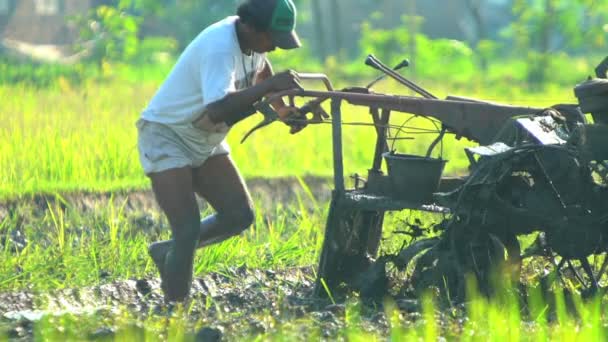 Landwirt pflügt Boden um — Stockvideo