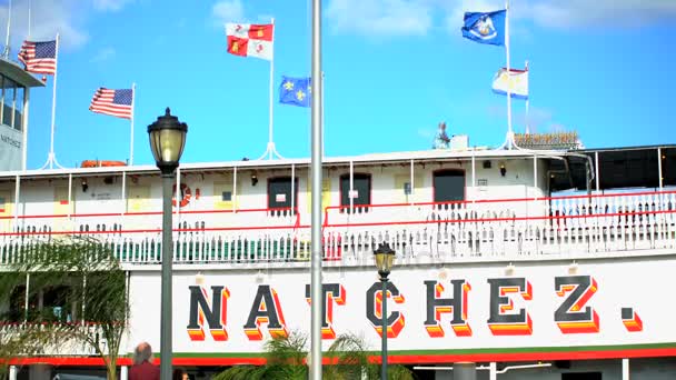 Paddle stoomboot op de Mississippi rivier — Stockvideo