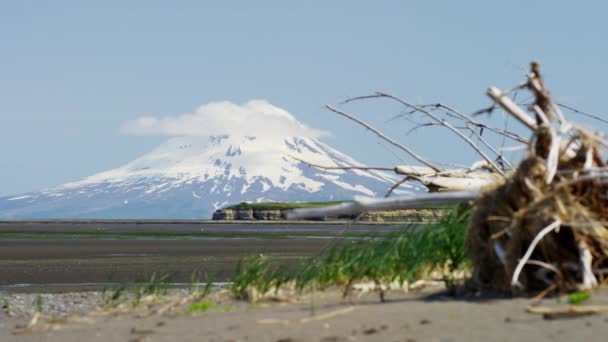 MT Redoubt kust vulkaan — Stockvideo